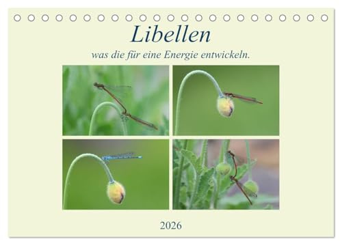 Libellen, was die für eine Energie entwickeln. (Tischkalender 2026 DIN A5 quer), CALVENDO Monatskalender: Ich habe sie stundenlang beobachtet und war nur bewundert. (CALVENDO Tiere)