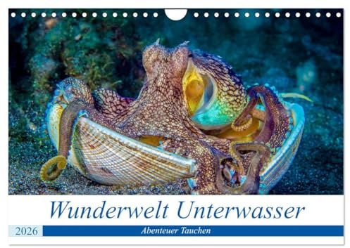 Wunderwelt Unterwasser (Wandkalender 2026 DIN A4 quer), CALVENDO Monatskalender: Tauchen in Moaboal/Philippinen (CALVENDO Tiere)