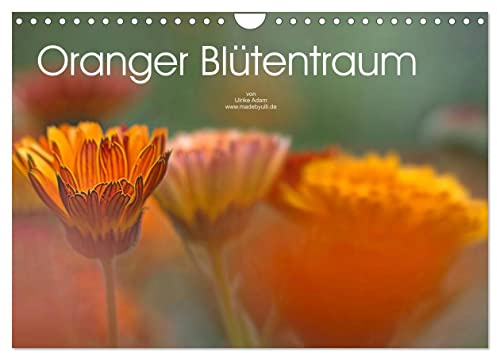 Oranger Blütentraum (Wandkalender 2026 DIN A4 quer), CALVENDO Monatskalender: Zarte orange Blütenfotos verzaubern uns das ganze Jahr (CALVENDO Natur)