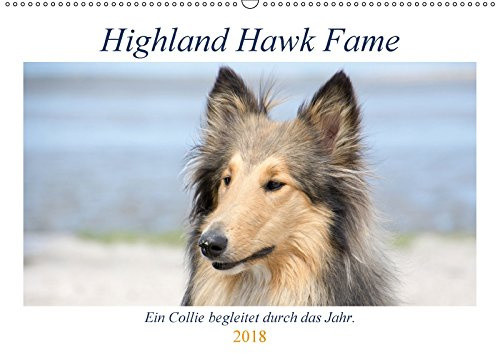 Highland Hawk Fame - Ein Collie begleitet durch das Jahr (Wandkalender 2018 DIN A2 quer): Bilder einer Rough Collie Hündin bei Ihren Ausflügen durch ... und Marina Zimmermann Fotografie GbR, Andreas