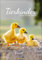 Tierkinder 2025: Wandkalender mit Fotos von süßen Tierkindern. Format 23,5 x 33,5 cm.