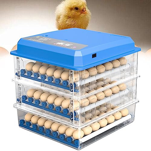 BINGQIAN Eier-Inkubator, Brutkasten für 56/98/152 Eier, automatische Eierwendefunktion um 360 °, zum Ausbrüten von Hühner-, Wachtel-, Vogel- und Taubeneiern, intelligente Geflügelbrutmaschine,1