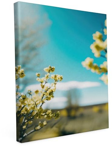 Keilrahmen bedruckt, Wandbild auf Künstler Leinwand, matter Kunstdruck, Stabiler Holzrahmen mit kratzfestem 280g Canvas bespannt, Motive zum Thema Natur (60x90cm - Frühling)