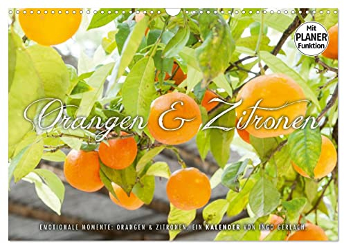 Emotionale Momente: Orangen und Zitronen. (Wandkalender 2024 DIN A3 quer), CALVENDO Monatskalender: Ingo Gerlach hat tolle Bilder von Orangen und ... Süßsauer für die Küche. (CALVENDO Lifestyle)