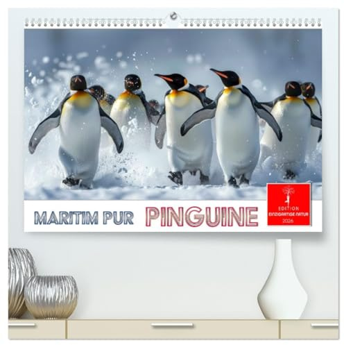 Maritim pur - Pinguine (hochwertiger Premium Wandkalender 2026 DIN A2 quer), Kunstdruck in Hochglanz: Im Wasser elegant und geschickt -an Land ungelenk (CALVENDO Tiere)