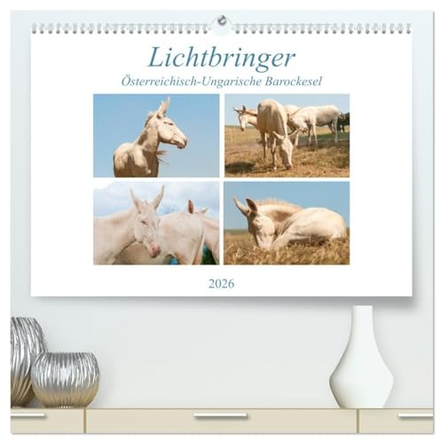Lichtbringer - Österreichisch-Ungarische Barockesel (hochwertiger Premium Wandkalender 2026 DIN A2 quer), Kunstdruck in Hochglanz: Wunderbare weiße Esel als Glücksboten (CALVENDO Tiere)