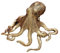 Oktopus Statue Aus Messing, Meerestier Skulptur, Oktopus Wohndekoration, Sammlerstücke, Geschenk, Schreibtisch-Ornamente, Fengshui-Heimtischdekoration Für Bücherregal, Esstisch