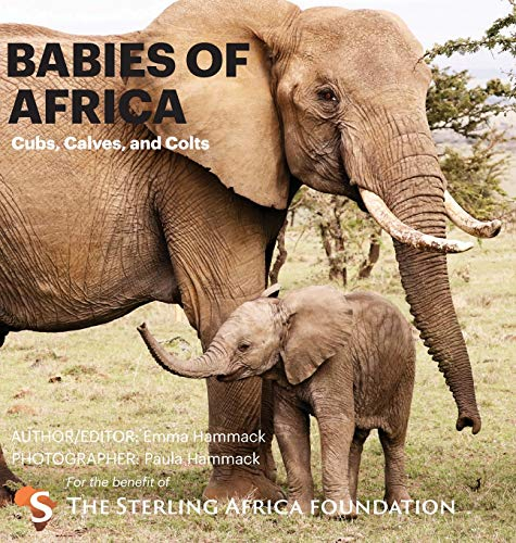 Babies of Africa: Cubs, Calves and Colts