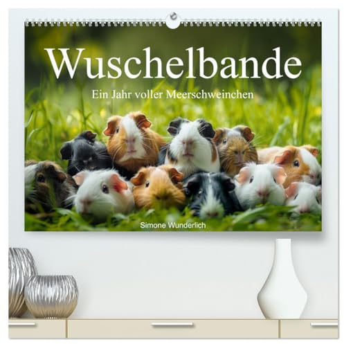 Wuschelbande - Ein Jahr voller Meerschweinchen (hochwertiger Premium Wandkalender 2025 DIN A2 quer), Kunstdruck in Hochglanz