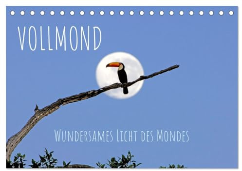 Vollmond: Wundersames Licht des Mondes (Tischkalender 2025 DIN A5 quer), CALVENDO Monatskalender