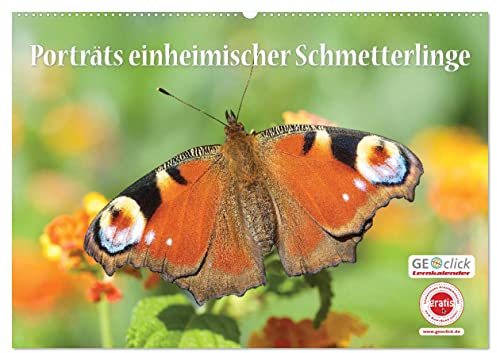 GEOclick Lernkalender: Porträts einheimischer Schmetterlinge (Wandkalender 2025 DIN A2 quer), CALVENDO Monatskalender
