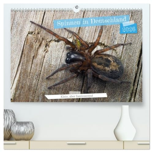 Spinnen in Deutschland (hochwertiger Premium Wandkalender 2026 DIN A2 quer), Kunstdruck in Hochglanz: Naturwunder ganz nah: Spinnenkalender für Dein Zuhause. (CALVENDO Tiere)