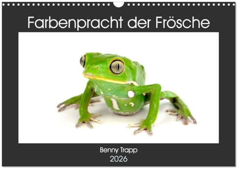 Farbenpracht der Frösche (Wandkalender 2026 DIN A3 quer), CALVENDO Monatskalender: Bunte Frösche aus aller Welt (CALVENDO Tiere)