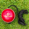 Fortress Kricketbälle mit Schnur – Cricketbälle in Zwei Stilen erhältlich (Leder Kricketball)