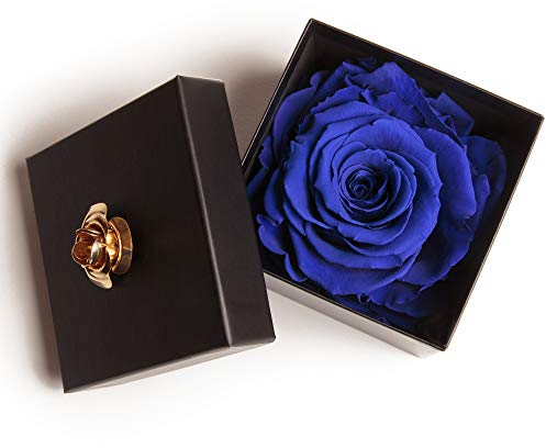 ROSEMARIE SCHULZ Heidelberg Ewige Rose Blau in Box - Rosenbox 1 echte Rose blau konserviert haltbar 3 Jahre in Blumenbox 8,5x8,5cm - Valentinstag für sie Rose (Blau, 1 Rose)