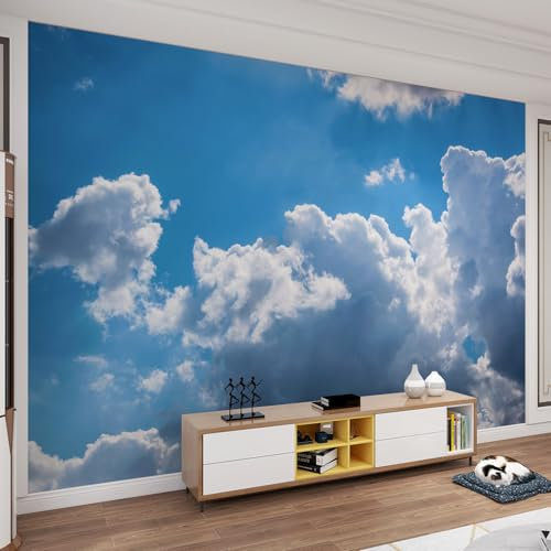 YEMYOR Peintures Murales De Ciel Bleu Et De Nuages ​​Blancs, Papier Peint Nuages ​​Abstraits, Peintures Murales De Ciel Vaste, Affiches Murales Personnalisables Pour Salon Et Chambre-390x260cm