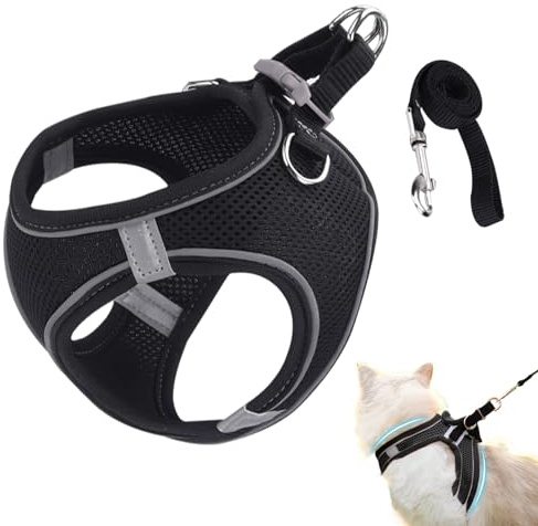Harnais pour Chat De Voyage - Harnais Sécurisé Ajustable pour Chats | pour Colliers De Chats Taille S M L pour Randonnée Voyage Plein Air
