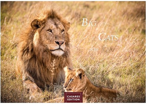 Big Cats Kalender 2026 – Wandkalender | Fotokalender Tierkalender 24x35cm – Wunderschöner Großkatzen-. mit beeindruckenden Fotos von Tiger| Löwen | Jaguar | Gepard | Luchs | Puma