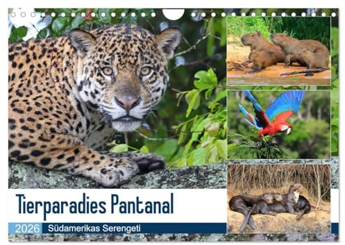 Tierparadies Pantanal (Wandkalender 2026 DIN A4 quer), CALVENDO Monatskalender: Tierreichtum im Südwesten Brasiliens (CALVENDO Tiere)