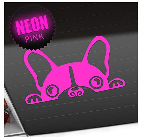 Kiwistar - Autoaufkleber - Halbe Französische Bulldogge Heckscheibe Auto Aufkleber wetterfest für Kfz LKW Mofa Truck - Sticker außen selbstklebend Tuning Zubehör für Fenster Fahrzeug Scheibe