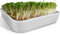 ZELLGUT® Colador para cultivos de berro, cuenco de germinación – 12 cm – Cuenco de cerámica + colador de acero inoxidable – Germinador para el cultivo de microgreens, semillas germinadas