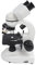 Microscopio Binoculare 40X‑5000X, Microscopio Biologico Professionale con 2 Oculari 10X e 2 Oculari 50X, Microscopio per Adulti e Bambini, Studenti per Uso Educativo Domestico