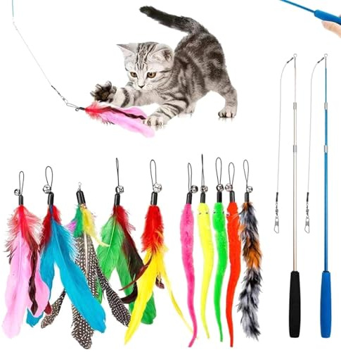Rixotix 12 Stück Katzenspielzeug Set mit Feder, Katzenangel, Wurm und Fisch, Interaktives Katzenspielzeug für Erwachsene Katzen, Indoor, Unparfümiert