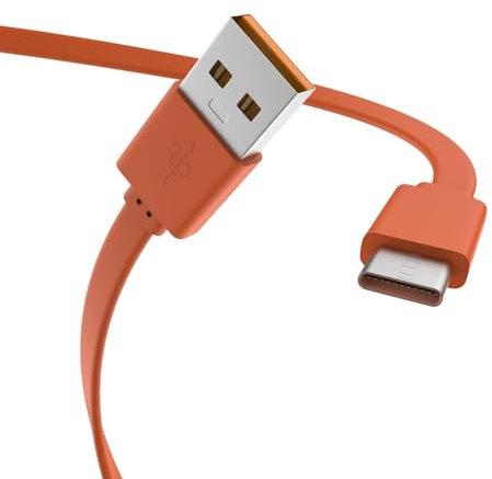 Flip 6 Schnellladekabel, kompatibel mit JBL Charge 4, Charge5, Charge 6, JBL Flip 5, Flip 6, Flip 7, JBL Pulse 4 Clip4, JRPOP, Endurance Peak II, JBLCHARGE4BLKAM kabellose Kopfhörer Lautsprecher