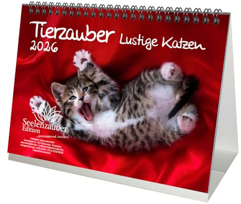 Tierzauber lustige Katzen DIN A5 Tischkalender für 2026 Lustige Katzen - Seelenzauber