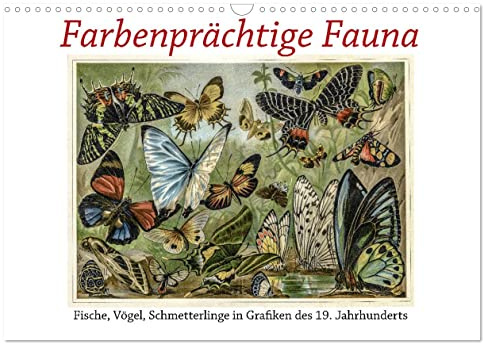 Farbenprächtige Fauna. Fische, Vögel, Schmetterlinge in Grafiken des 19 Jahrhunderts (Wandkalender 2026 DIN A3 quer), CALVENDO Monatskalender: Höchst ... besten Künstler der Zeit. (CALVENDO Kunst)