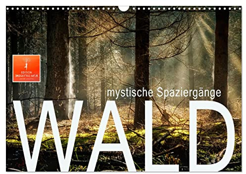 Wald - mystische Spaziergänge (Wandkalender 2026 DIN A3 quer), CALVENDO Monatskalender: Unterwegs in prächtigen Wäldern, mit allen Sinnen genießend. (CALVENDO Kunst)