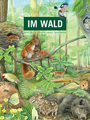 Im Wald: Großformatiges Pappbilderbuch für Kinder ab 3 Jahren über unsere heimischen Wälder und ihre tierischen Bewohner