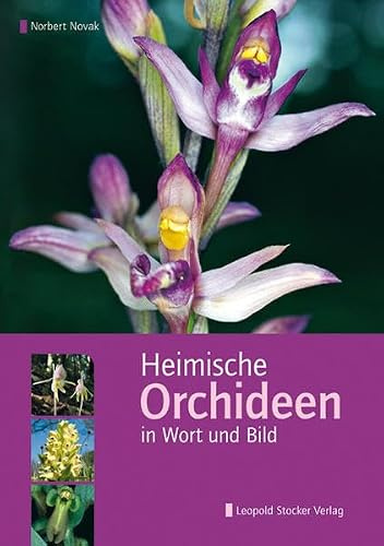 Heimische Orchideen in Wort und Bild
