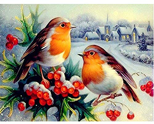 5D Diamond Painting Diamant Malerei Painting Bilder, Wowdecor Schön Vögel Schnee Landschaft Weihnachten Full Set Groß DIY Diamant Gemälde Malen Nach Zahlen