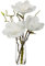 Oairse Kunstpflanze Magnolien-Kunstblumen in Glasvase mit künstlichen Wasser Künstliche Deko Blumen Kunstblumen Wie Echt Mit Real-Touch Blüten Tischdeko Fensterbank Deko, Weiß