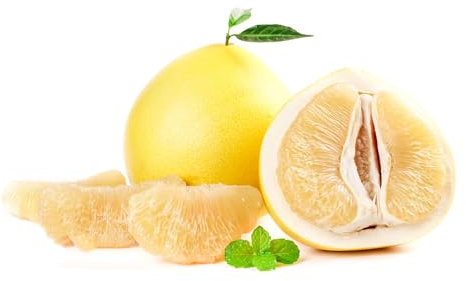 100 pcs Pomelo baum samen, säulenobst dekoration wohnzimmer seed best of bonsai bäumchen kaufen winterfeste pflanzen für balkon obstbaum ausgefallene geschenke seltene pflanzen obstbäume