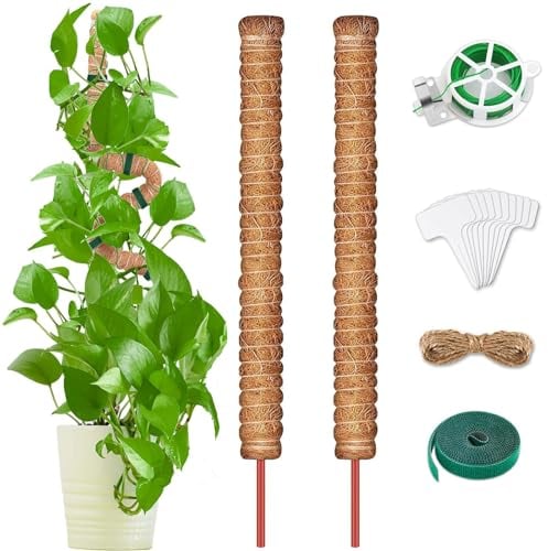 Monstera Rankhilfe 2 Stück, 100cm Pflanzenstab Kokos, Biegbar Kokosfaser Moosstab Pflanzstab Stab für Kletterpflanzen Natürlicher Pflanzenstütze mit Zubehör