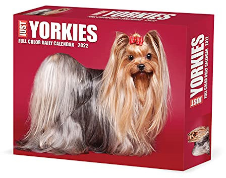 Yorkies 2022 Box Calendar