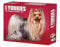Yorkies 2022 Box Calendar