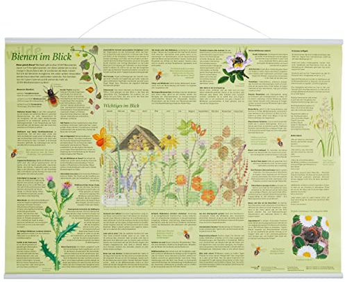 Erlebnisposter Bienen im Blick: mit Metall-Beleistung