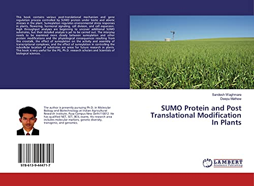 SUMO Protein and Post Translational Modification In Plants