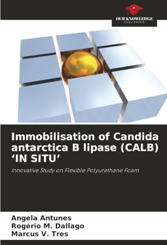 Immobilisation of Candida antarctica B lipase (CALB) ‘IN SITU’: Innovative Study on Flexible Polyurethane Foam