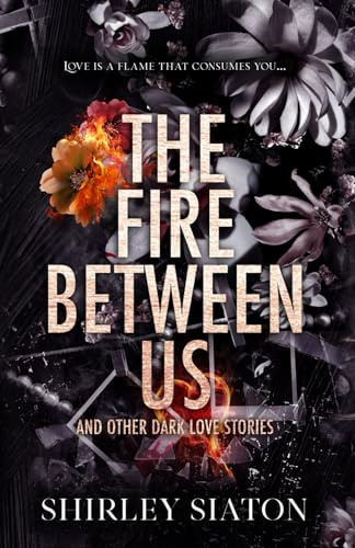The Fire Between Us (The Discreet Edition) (Under the Covers: Midnight Hearts)