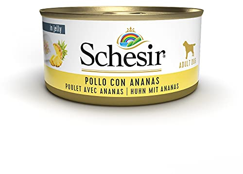 Schesir Dog Fruit Hühnerfilet mit Ananas, Hundefutter nass mit Früchten, 18 Dosen x 150 g