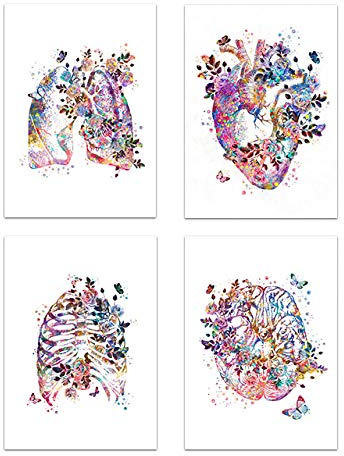 Menschliches Herz Gehirn Leberdruck Organ Anatomie Leinwand Bild Medizin Anatomisches Poster Vintage Blumenbild Klinik Wand Bilder Dekor 30x40cmx4 Ungerahmt