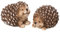 dio only for you 2er Set Igel | Figur Dekofigur | Herbst Herbstdeko | Winter Winterdeko |13 cm | Zierfigur Tierfigur