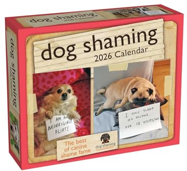 Dog Shaming 2026 Day-to-Day Calendar