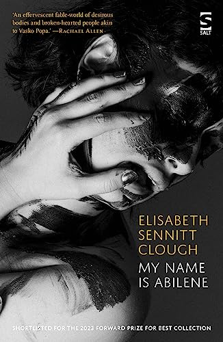 my name is abilene (Salt Modern Poets)