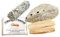 osters muschel-sammler-shop Räucherzubehör - Räuchersand BZW Feuersand in gefeuerter Spitzenqualität // Räucherschale -Abalone mit Einer idealen Größe von 13-16cm (Paket gesamt)
