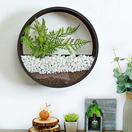 YUEKOPOU Jardinière Murale Ronde en métal, Pot de Fleur Mural 2 en 1, Terrarium en Verre et Vase Mural Rond en métal, Support de Plante à Air, conteneur Vertical, décoration intérieure(Black)